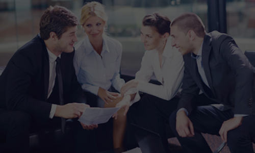 Professionals and Experts 